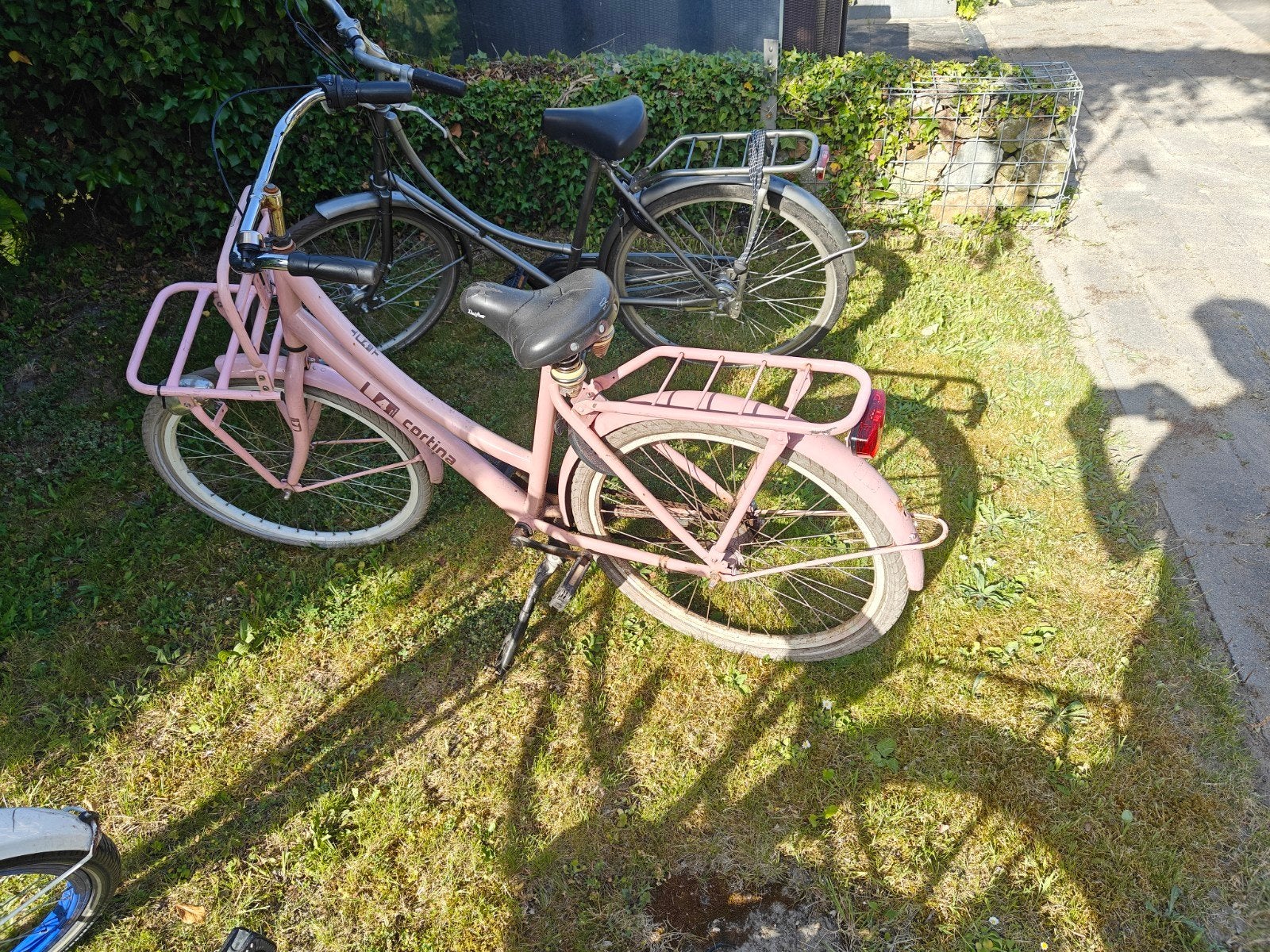 Cortina transportfietsen - Roze, Wit, Blauw, Overige merken, Terugtraprem, Ophalen of Verzenden, 50 tot 53 cm