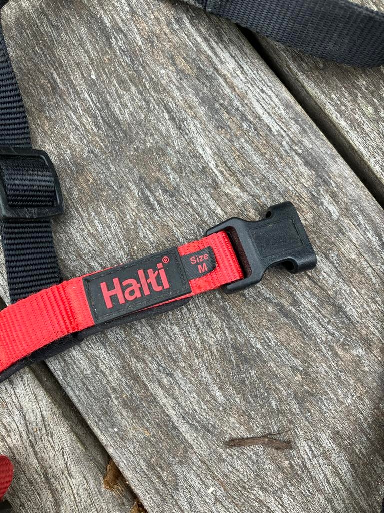 Haiti halter voor honden, Ophalen of Verzenden, Gebruikt