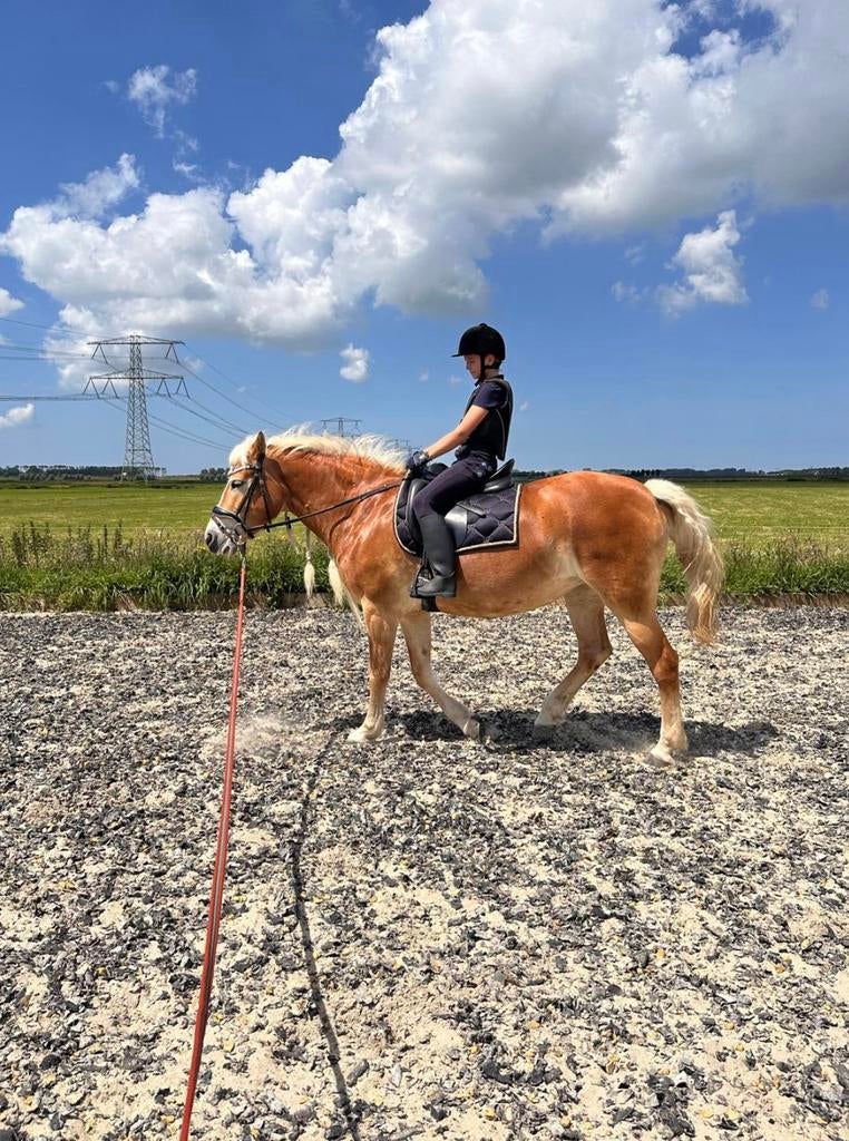 Verzorgpony gezocht, Vacatures, Vacatures | Schoonmaak en Facilitaire diensten