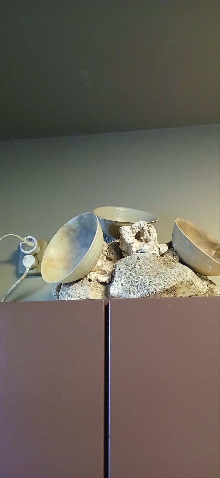 Decoratieve schalen., Ophalen