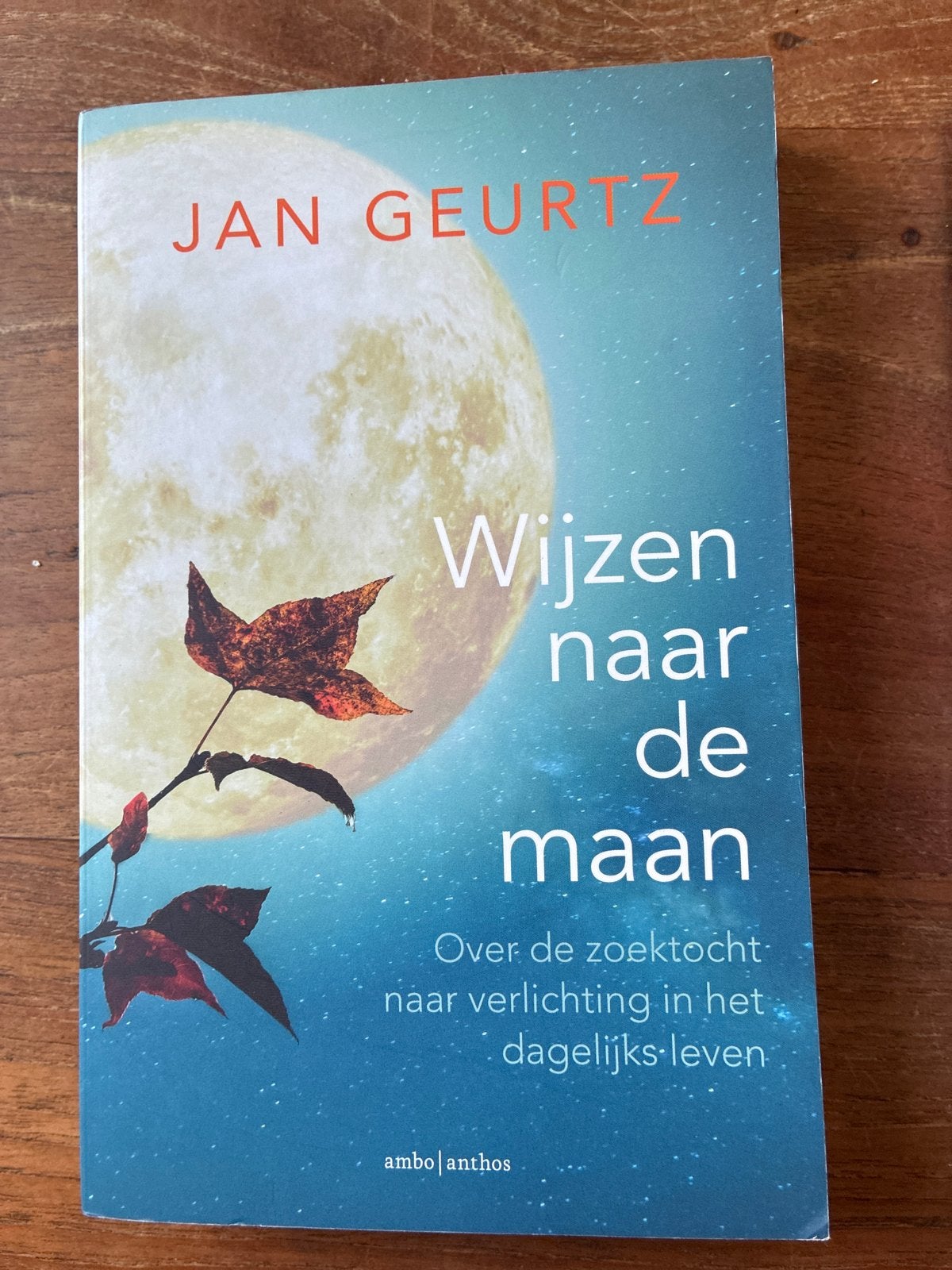 Jan Geurtz 4 boeken: Wijzen naar de maan, liefde enz, Ophalen of Verzenden, Gelezen, Spiritualiteit algemeen, Achtergrond en Informatie