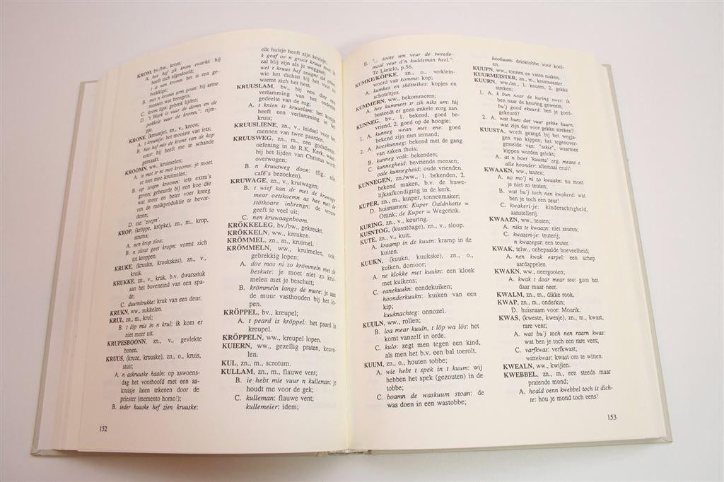 Taal van Haaksbergen — Dialect & Etymologie [Nieuwstaat], Ophalen of Verzenden, Zo goed als nieuw