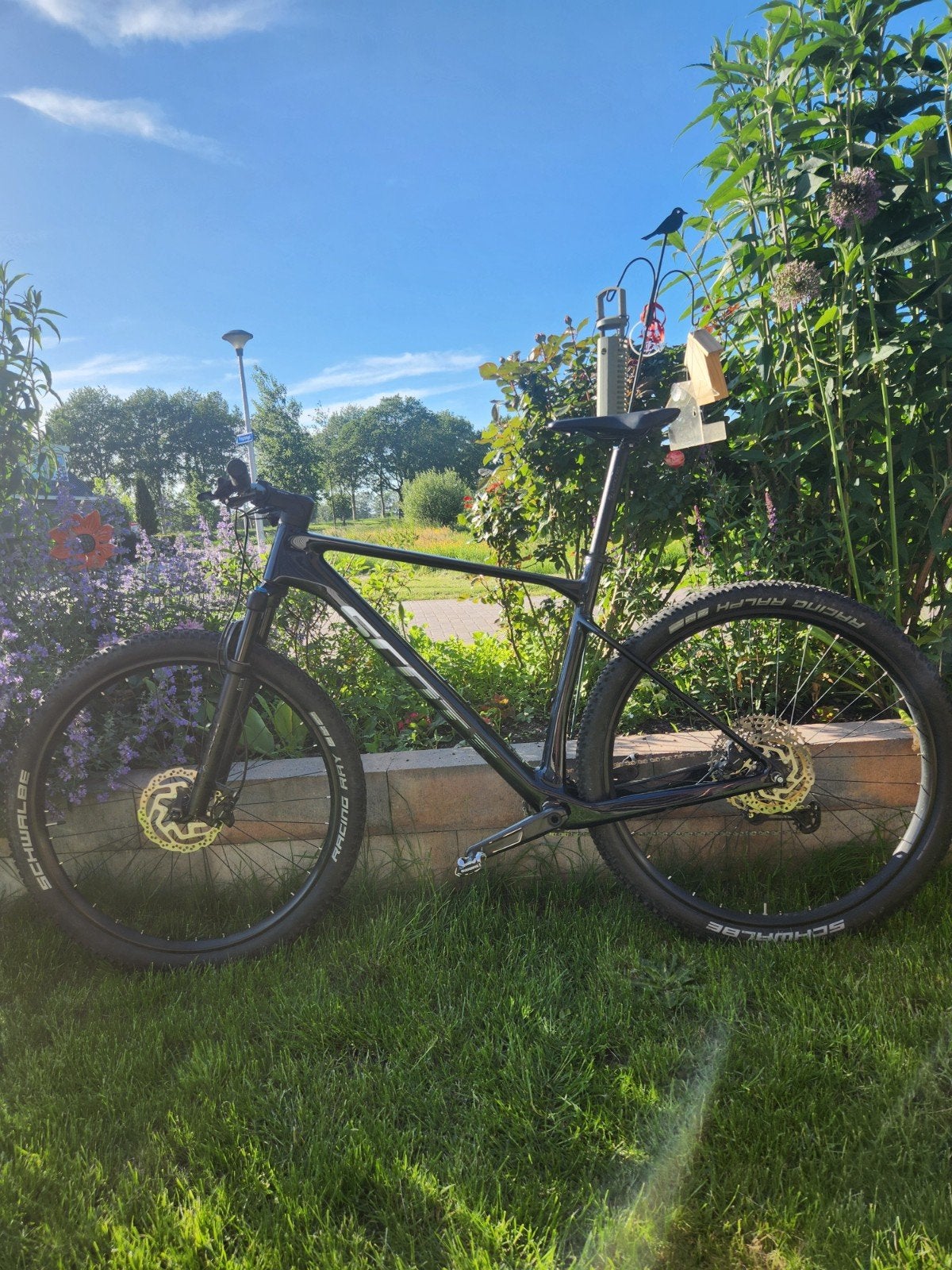 Scott Scale 930 2022 CARBON Hardtail Mountainbike - Maat XL, Gebruikt, 10 tot 15 versnellingen, 57 tot 61 cm, Schijfrem