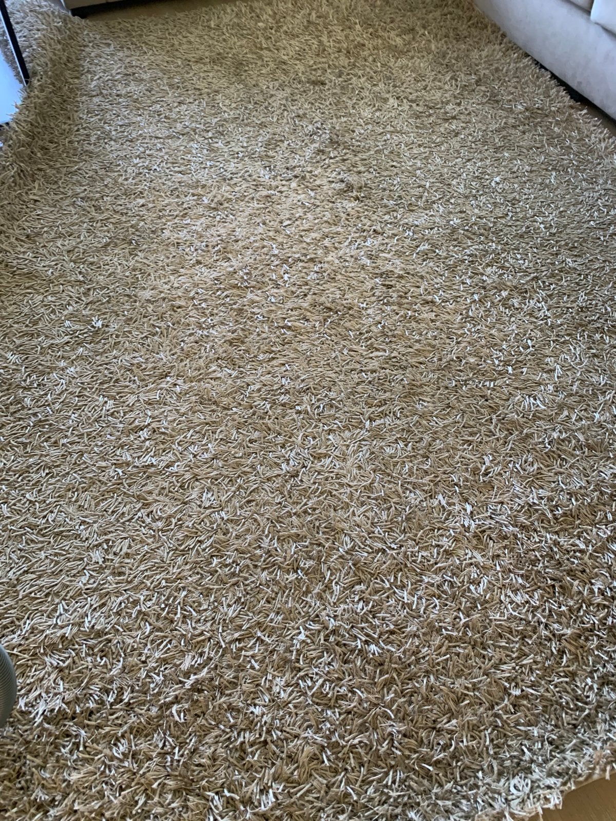 Vloerkleed beige, Ophalen, Beige, 200 cm of meer, Zo goed als nieuw