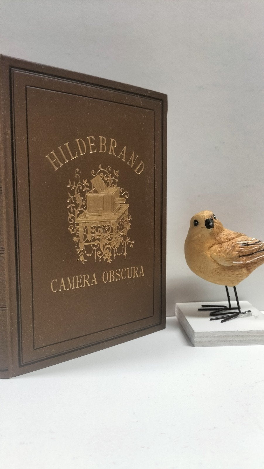 Hildebrand, Camera Obscura, Ophalen of Verzenden, Gelezen