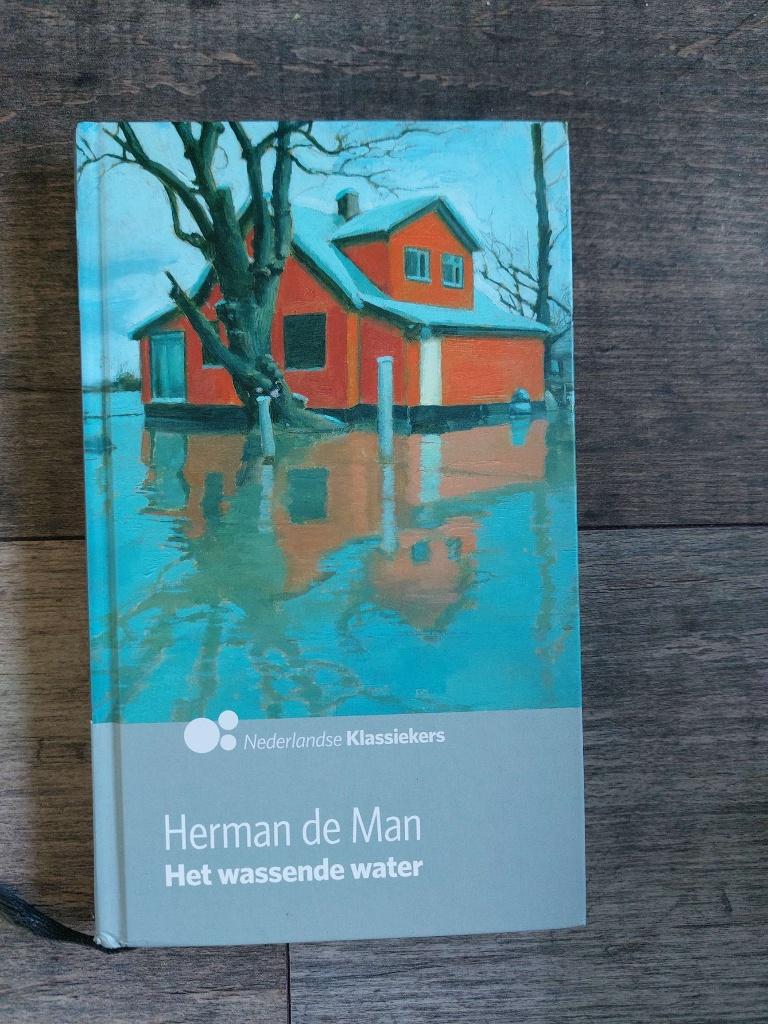 Herman de Man - Het wassende water - Hardcover, Boeken, Ophalen of Verzenden, Zo goed als nieuw