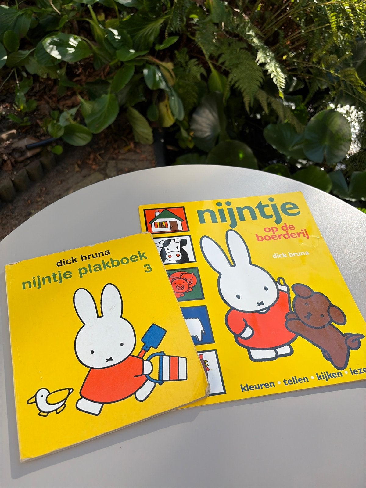 Dick Bruna - 2 nijntjes, Fictie algemeen, Ophalen of Verzenden, Zo goed als nieuw, Dick Bruna