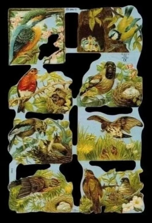 IJsvogel Roodborstje Pimpelmees Vlaamse Gaai Vink Roofvogel, Verzamelen, Ophalen of Verzenden, Zo goed als nieuw