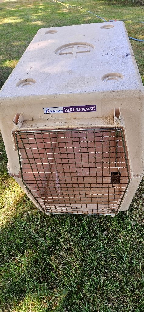 Grote Honden Bench, Dieren en Toebehoren, Ophalen, Gebruikt