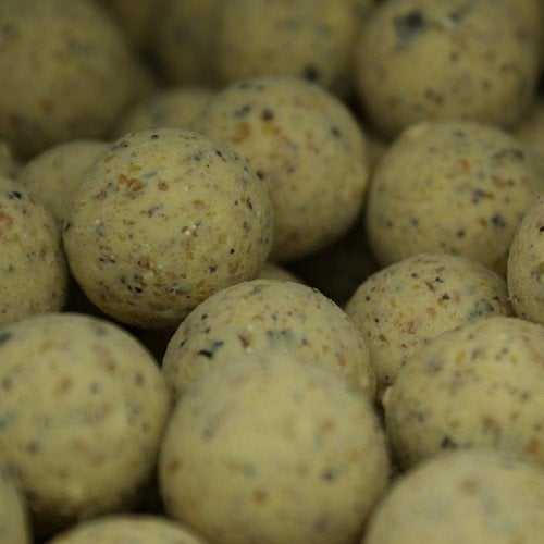 Milky Boilie 5kg - Top kwaliteit boilies - Karper aas, Info@oswalt.nl, Nieuw, Ophalen of Verzenden, Joure