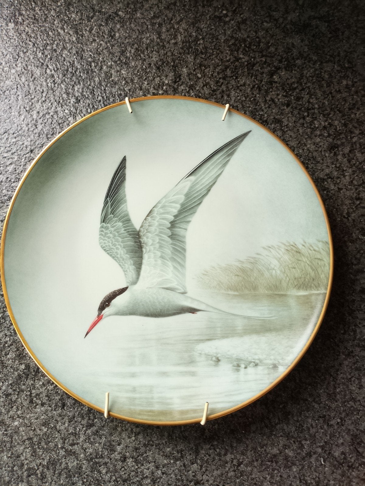 Franklin porcelain common tern, Ophalen of Verzenden