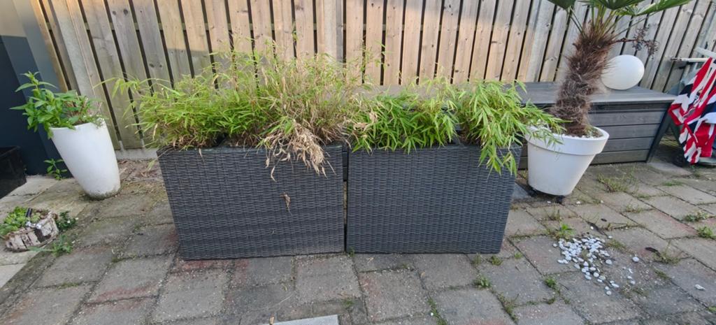 2 Grote plantenbakken met bamboe en binnenbakken, Ophalen, Kunststof, Gebruikt, 100 cm of meer