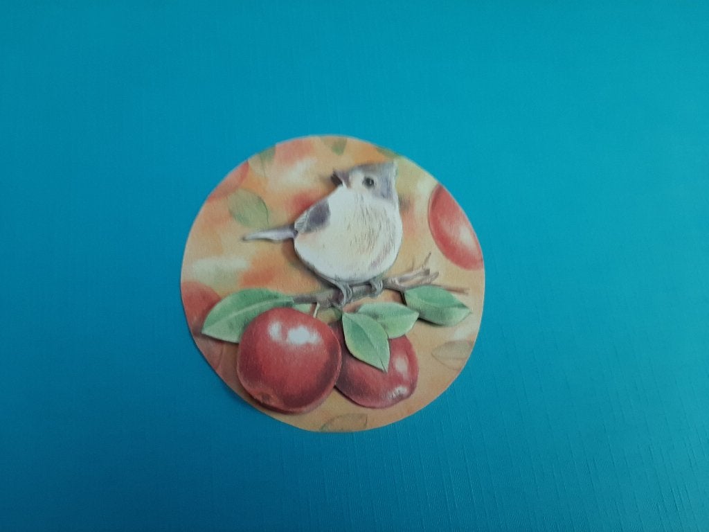 j090 Jeanine / vogel / appels, Verzenden, Nieuw, Dieren, Overige typen