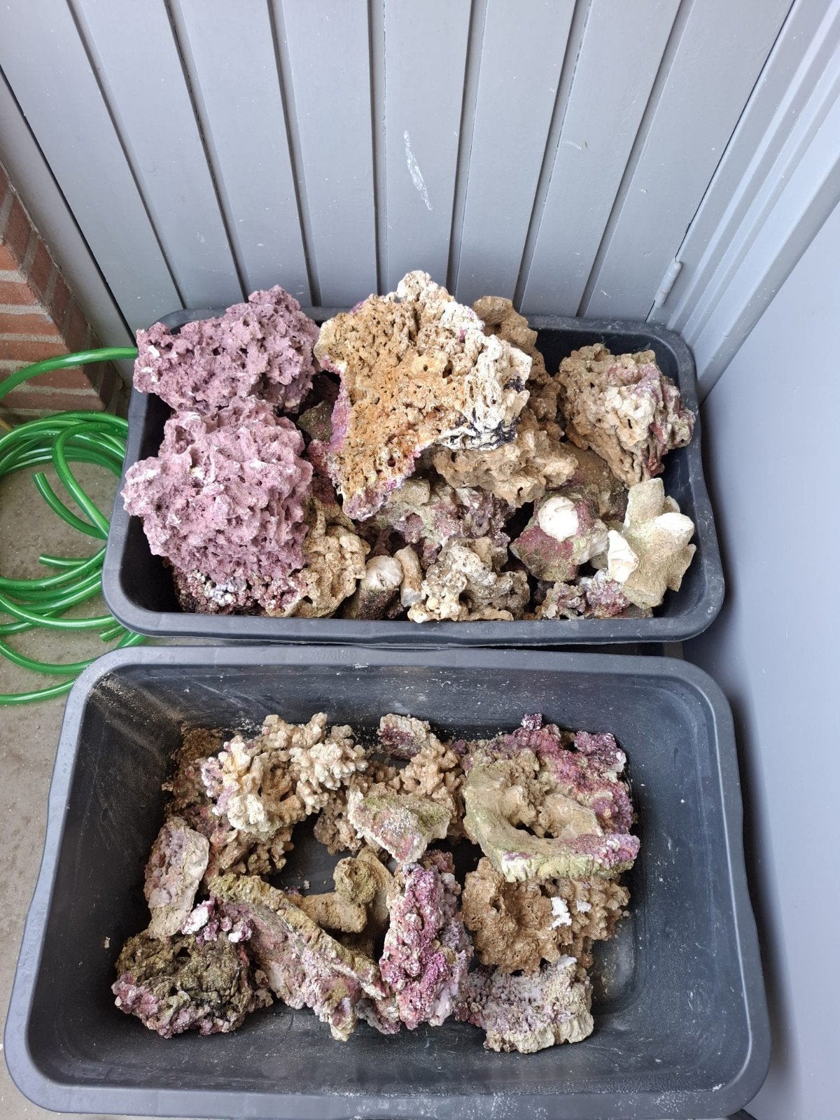 Levend Steen Voor Het Aquarium, Ophalen, Plant(en), Steen of Hout