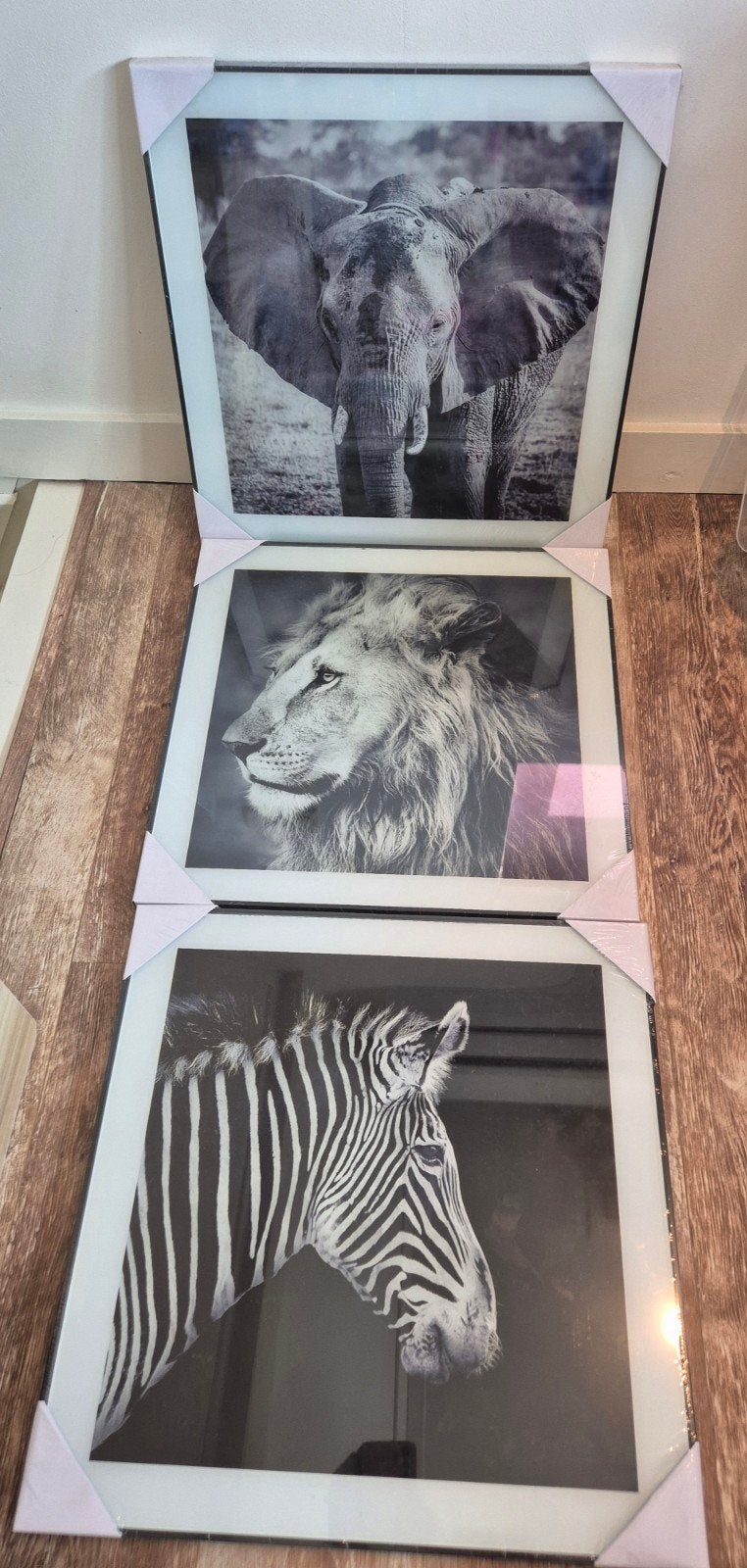 Set van 3 ingelijste dierenprints: Olifant, Leeuw, Zebra, Ophalen, 50 – 75, Nieuw, Print