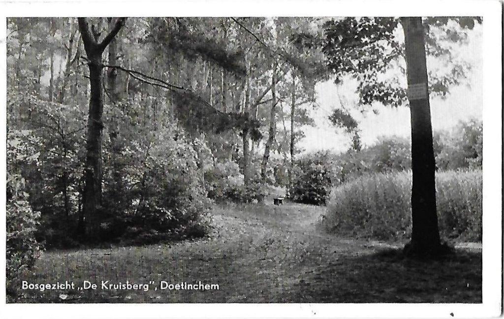 Doetinchem De Kruisberg Gelopen Ansichtkaart (B592, Ophalen of Verzenden, Voor 1920, Gelopen, Gelderland