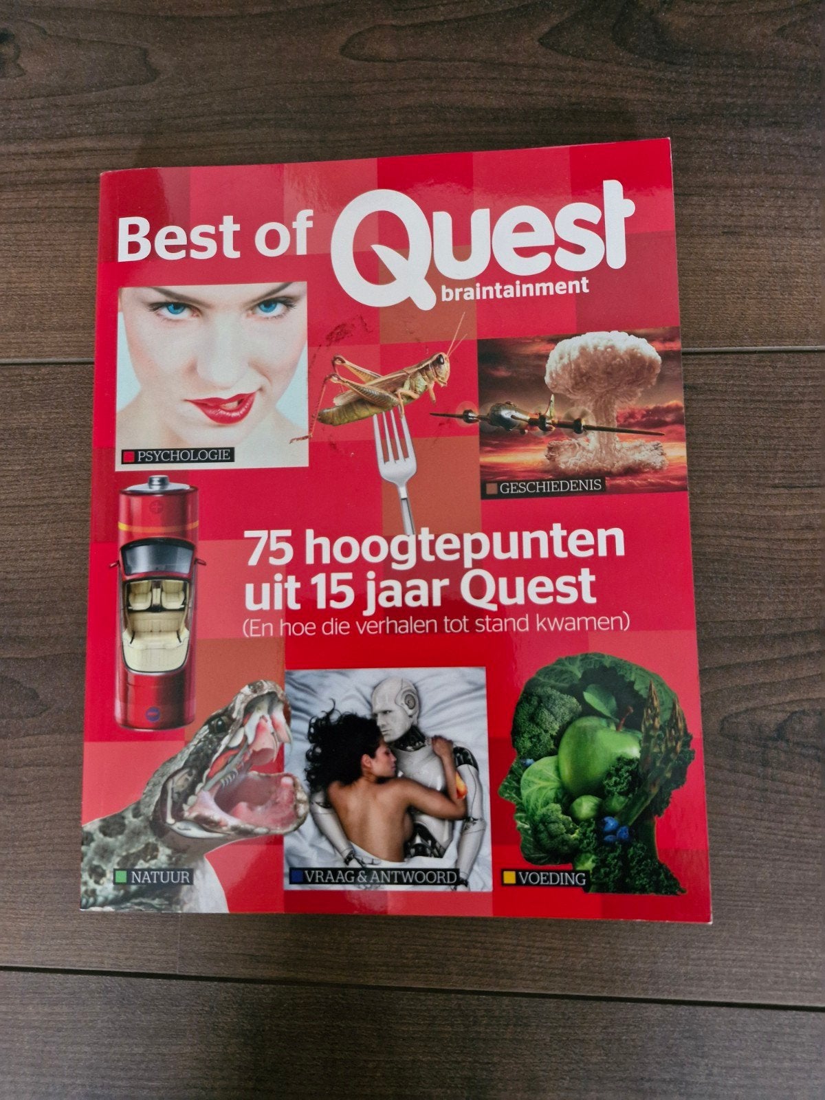 Quest, Ophalen of Verzenden, Nieuw