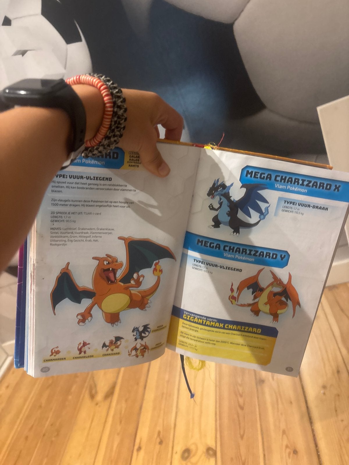 Pokémon: Het Mega Super De Luxe Handboek, Ophalen of Verzenden, Gelezen, Non-fictie