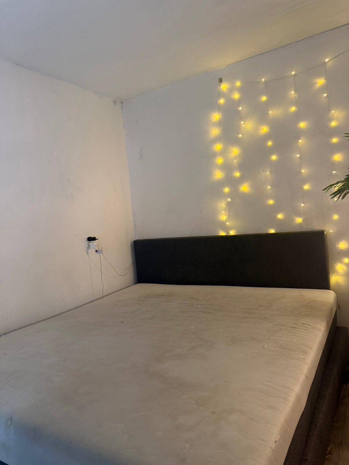 Boxspring 180x200 MOET WEG 100 euro ‼️‼️, Almere