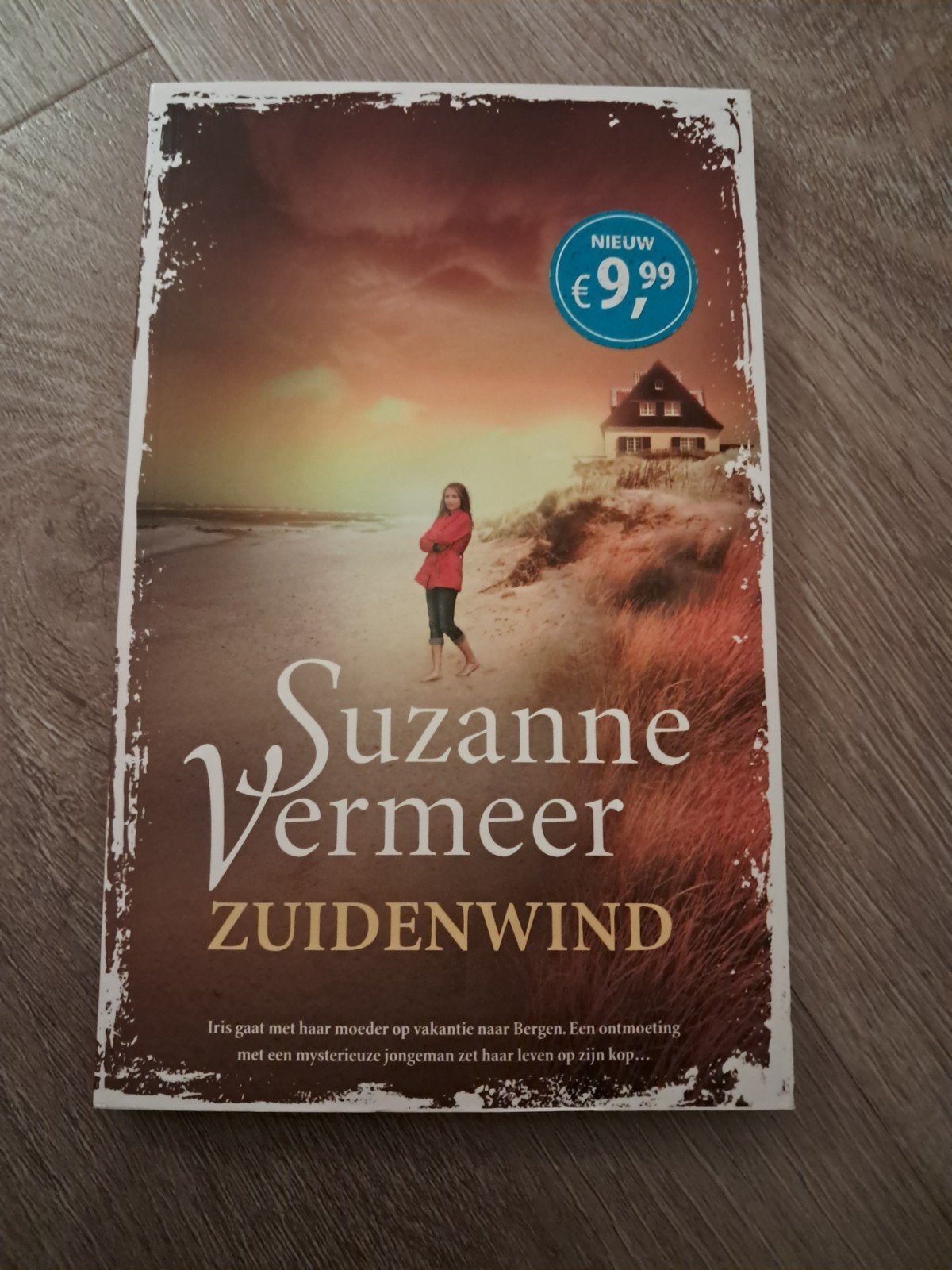 Suzanne Vermeer - Zuidenwind, Boeken, Suzanne Vermeer, Ophalen of Verzenden, Zo goed als nieuw, Nederland