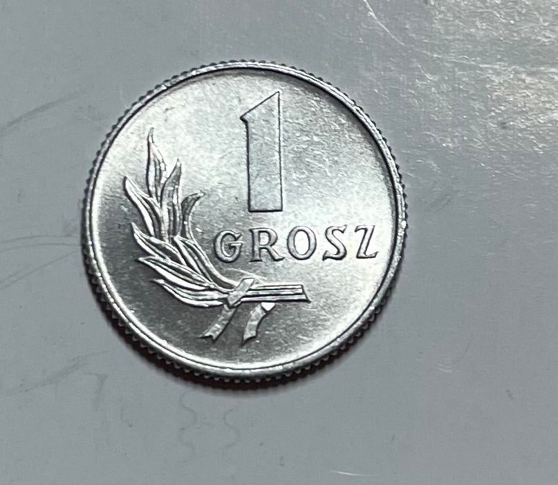 1 grosz Polen 1949, Ophalen of Verzenden, Zuid-Amerika