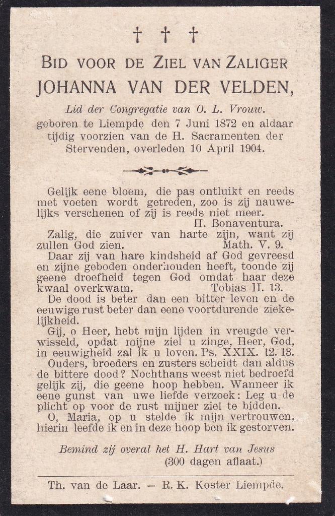 Velden Johanna 1872 Liempde 1904, Ophalen of Verzenden, Bidprentje