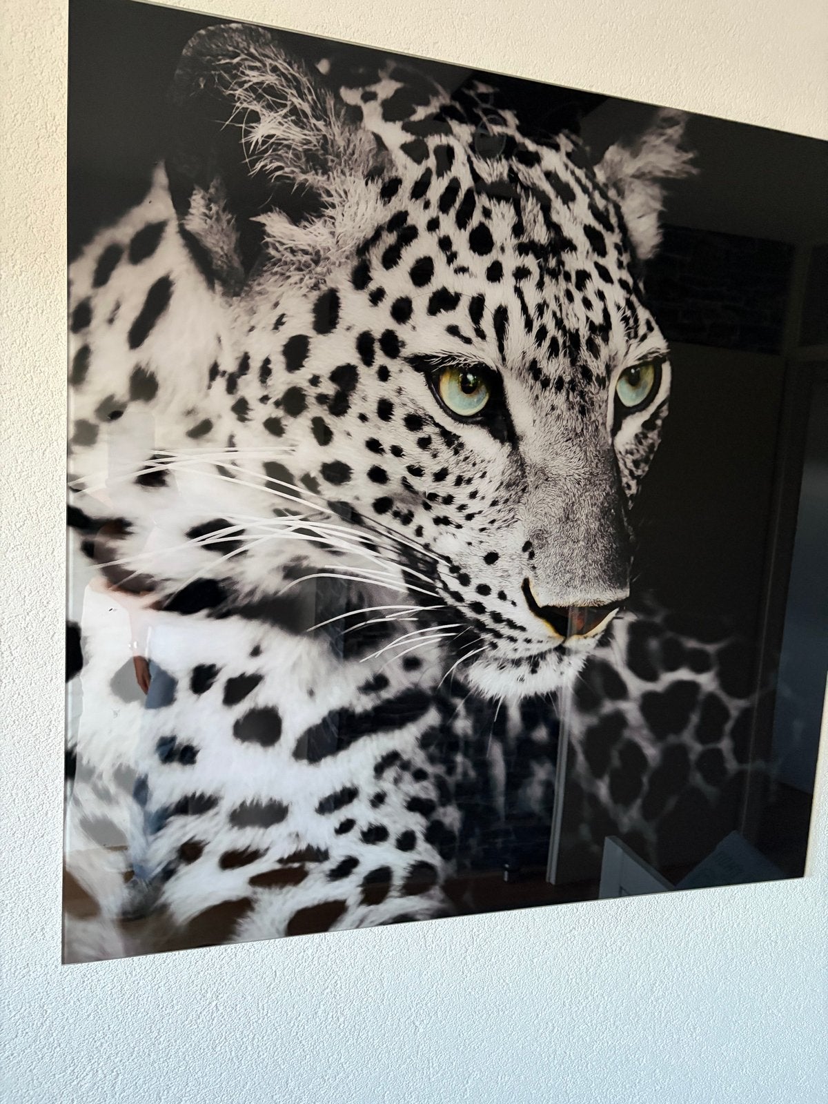 Prachtige luipaard foto op glas - blikvanger voor elk interi, Huis en Inrichting, Woonaccessoires | Schilderijen, Tekeningen en Foto's