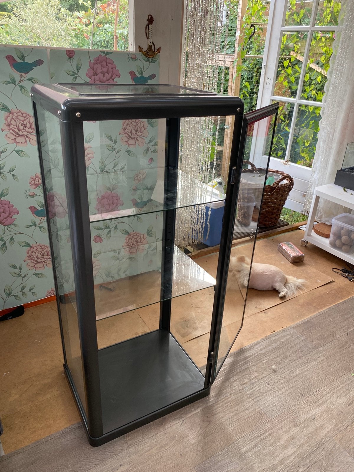 Vitrinekast., Ophalen, Met plank(en), 100 tot 150 cm, 50 tot 100 cm