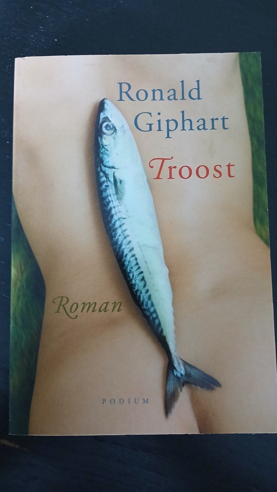 Ronald Giphart - Troost, Verzenden, Zo goed als nieuw, Ronald Giphart