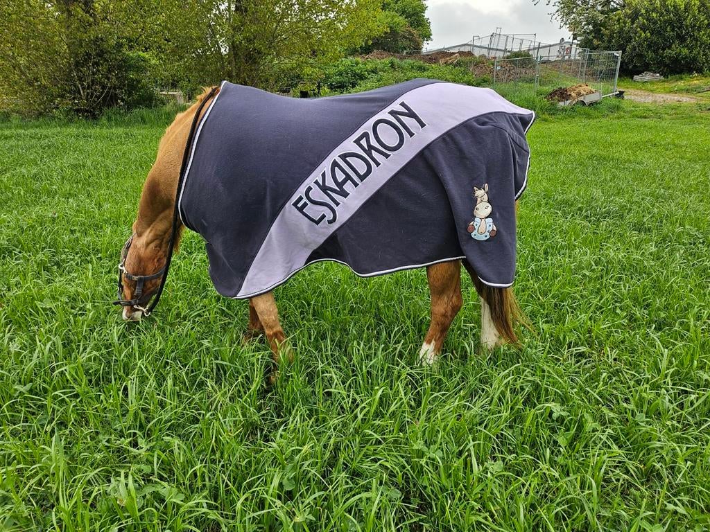 Eskadron deken mt s 175 a 185, Dieren en Toebehoren, Paarden en Pony's | Dekens en Dekjes, Ophalen of Verzenden, Zo goed als nieuw