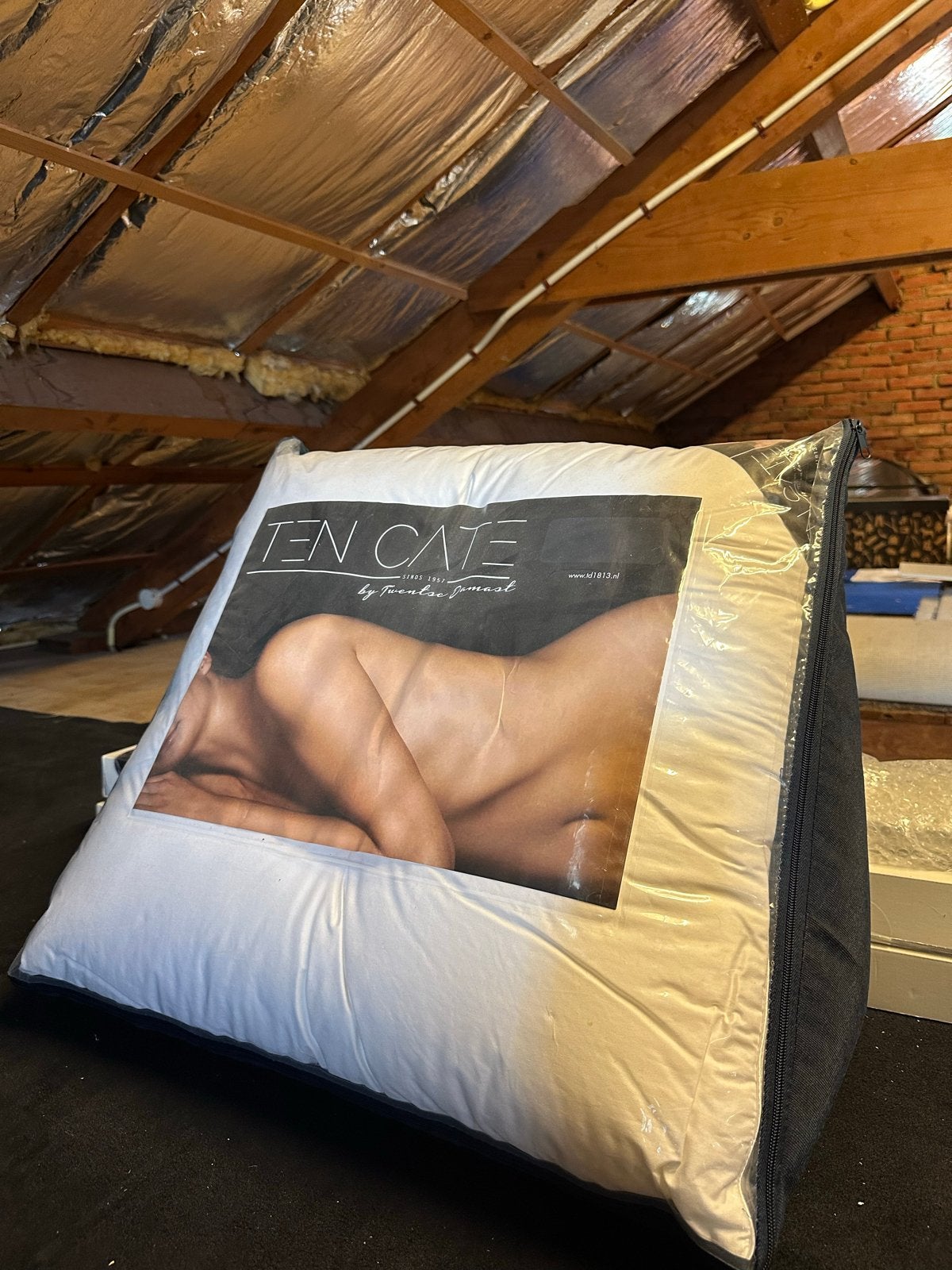 Ten Cate Bedwig Kussen - Nieuw in verpakking, Ophalen, Nieuw, Wit, Overige vormen