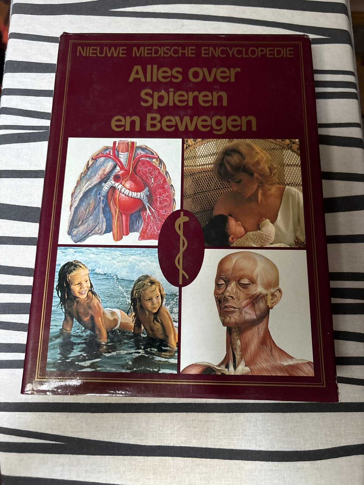 Nieuwe Medische Encyclopedie: Alles over Spieren en Bewegen, Ophalen of Verzenden, Gelezen, Gezondheid en Conditie