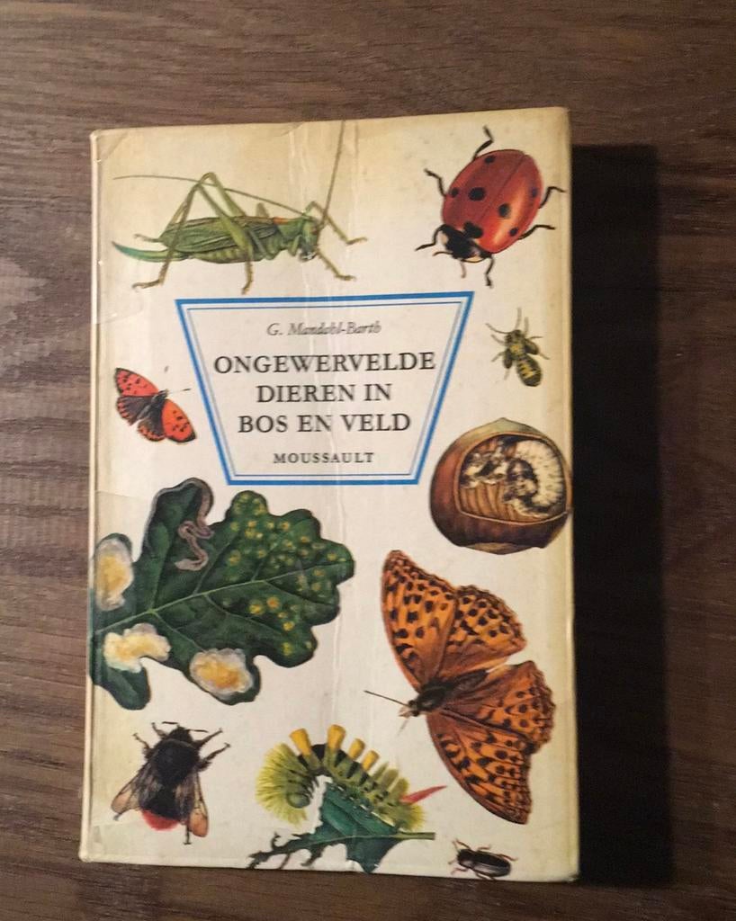 Ongewervelde dieren in bos en veld, vintage natuurgidsje, Boeken, Ophalen of Verzenden, Gelezen, Overige onderwerpen