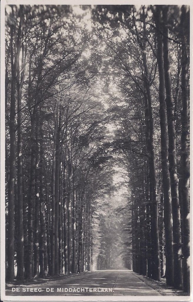 De Steeg Middachterlaan uit 1939  ansichtkaart B1042, Ophalen of Verzenden, 1920 tot 1940, Gelopen, Gelderland