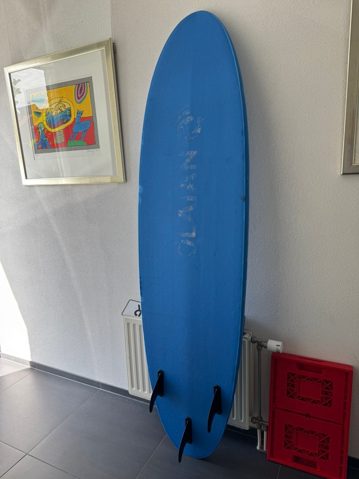 Surfboard, Ophalen, Gebruikt, Longboard, Met vinnen