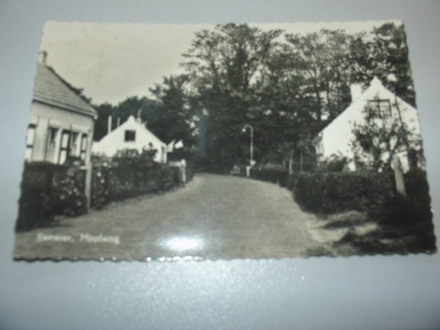 renesse - moolweg, Ophalen of Verzenden, Voor 1920, Gelopen, Zeeland