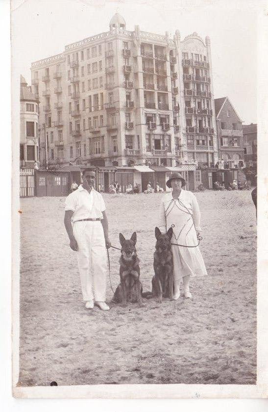 DE PANNE,- Grand Hotel,,Ocean'' Echtpaar met herdershonden., Ophalen of Verzenden, Voor 1920, Ongelopen, West-Vlaanderen