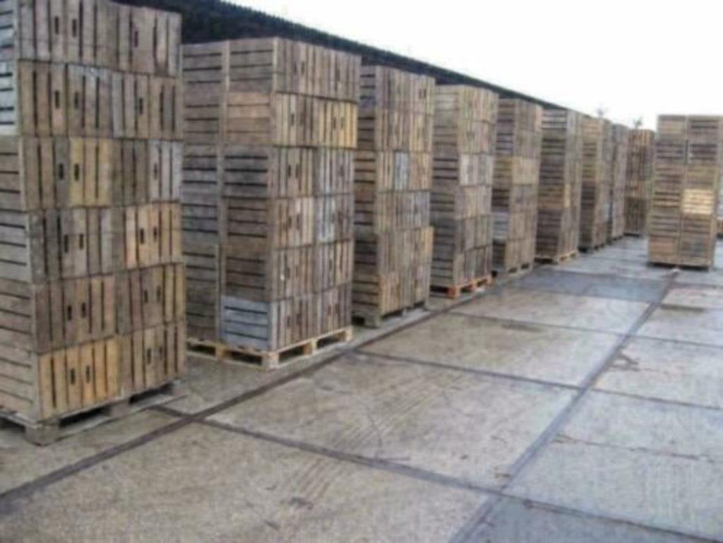 Fruitkisten , Groentekisten , Veilingkisten hout MEGA PARTIJ, Ophalen of Verzenden