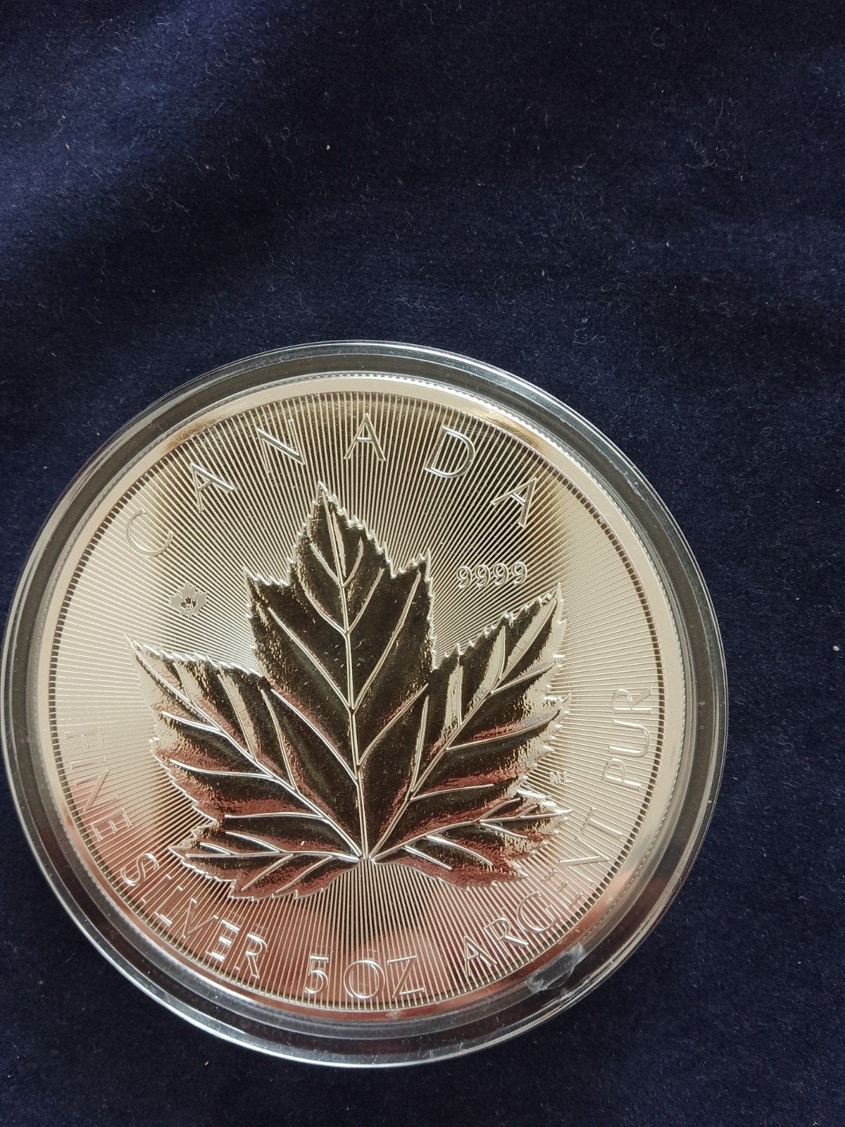 5 oz Maple Leaf 2026, Ophalen of Verzenden, Zilver