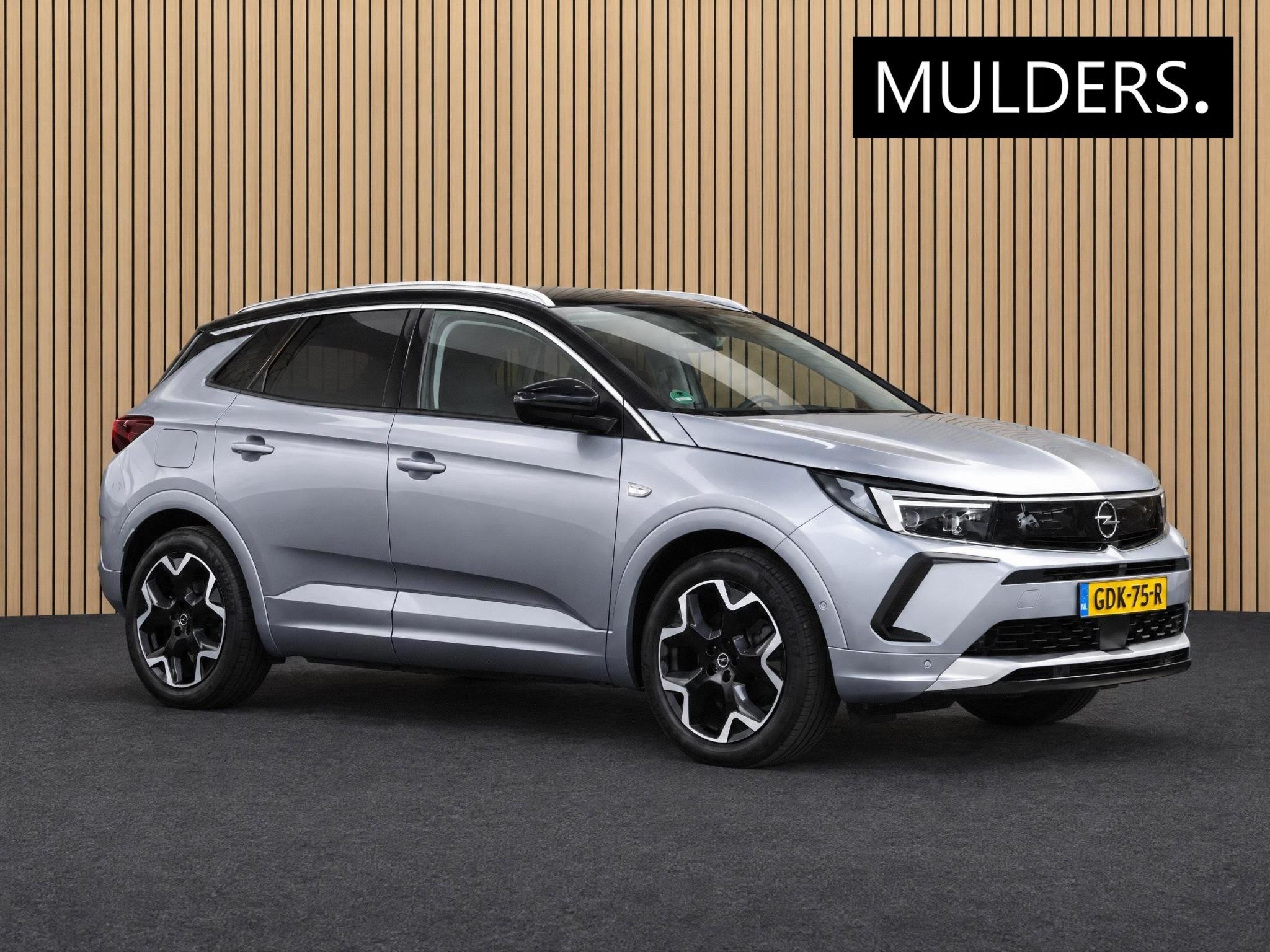 Opel Grandland 1.6 Turbo Plug-In Hybrid 4x4 Business Eleganc, Auto's, 12 maanden, Euro 6, 4 cilinders, Alcantara
