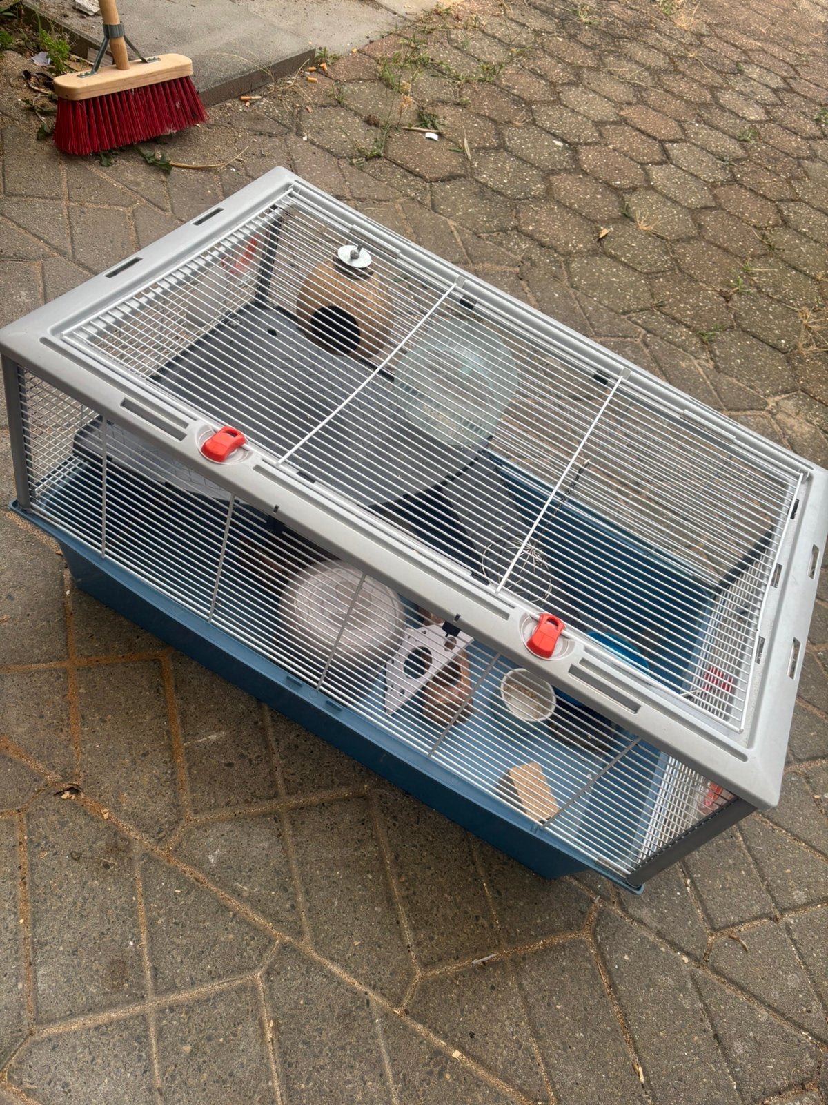 Hamsterkooi incl accessoires, Ophalen, Zo goed als nieuw, Kooi, Minder dan 60 cm