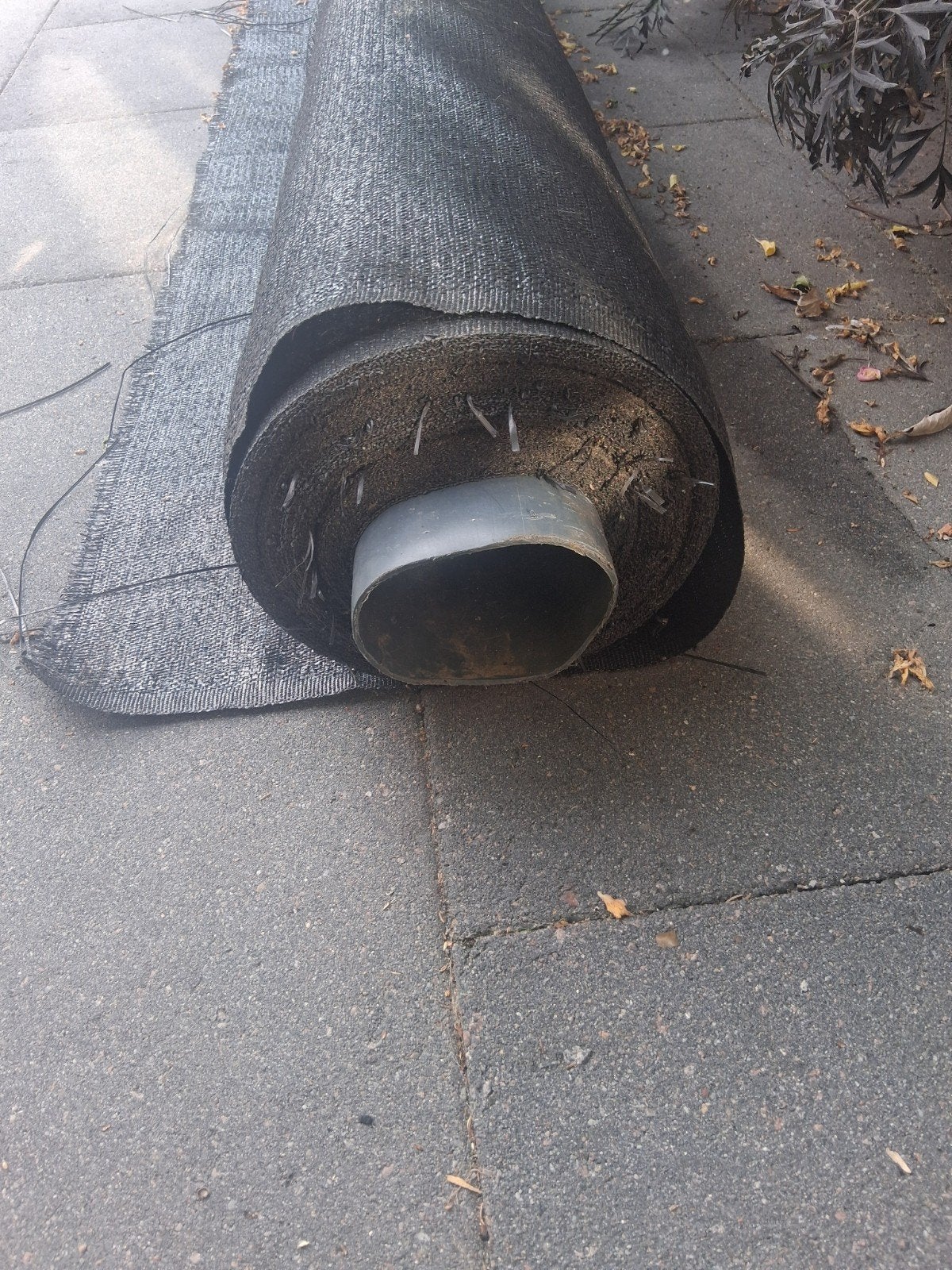 Worteldoek, Ophalen, Nieuw