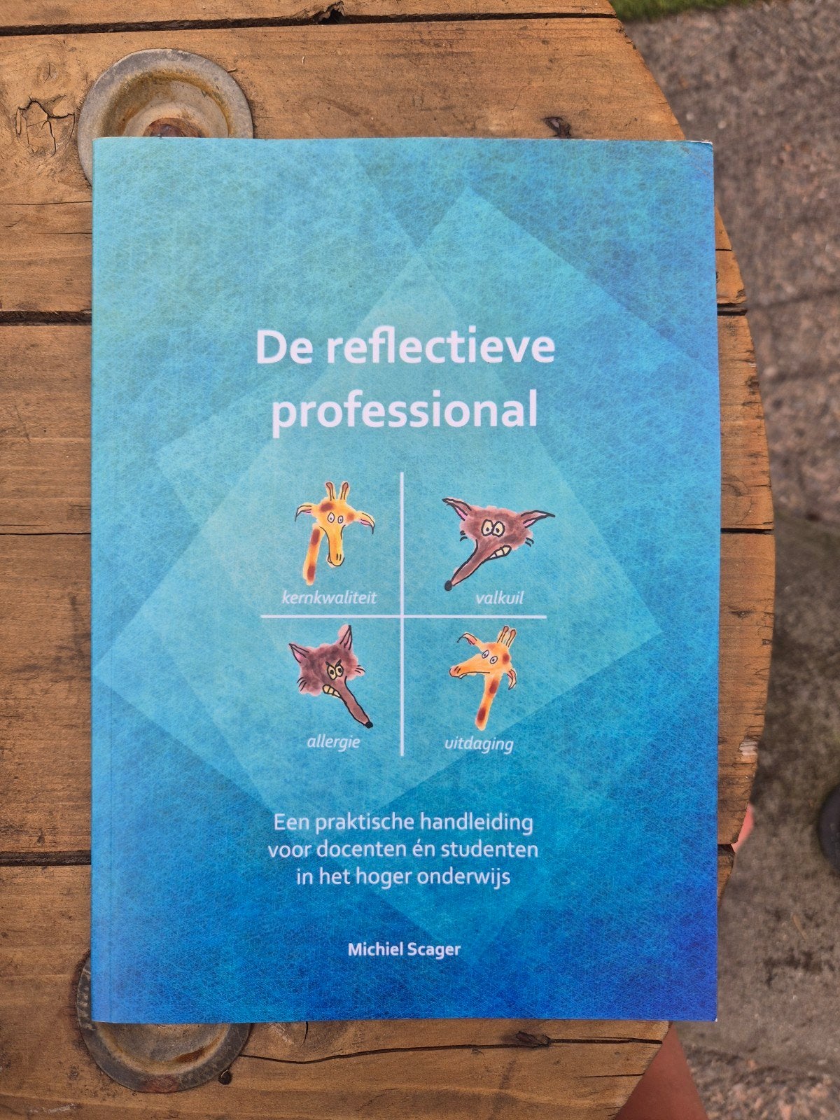 De reflectieve professional - Michiel Scager, Ophalen of Verzenden, Zo goed als nieuw, HBO, Michiel Scager