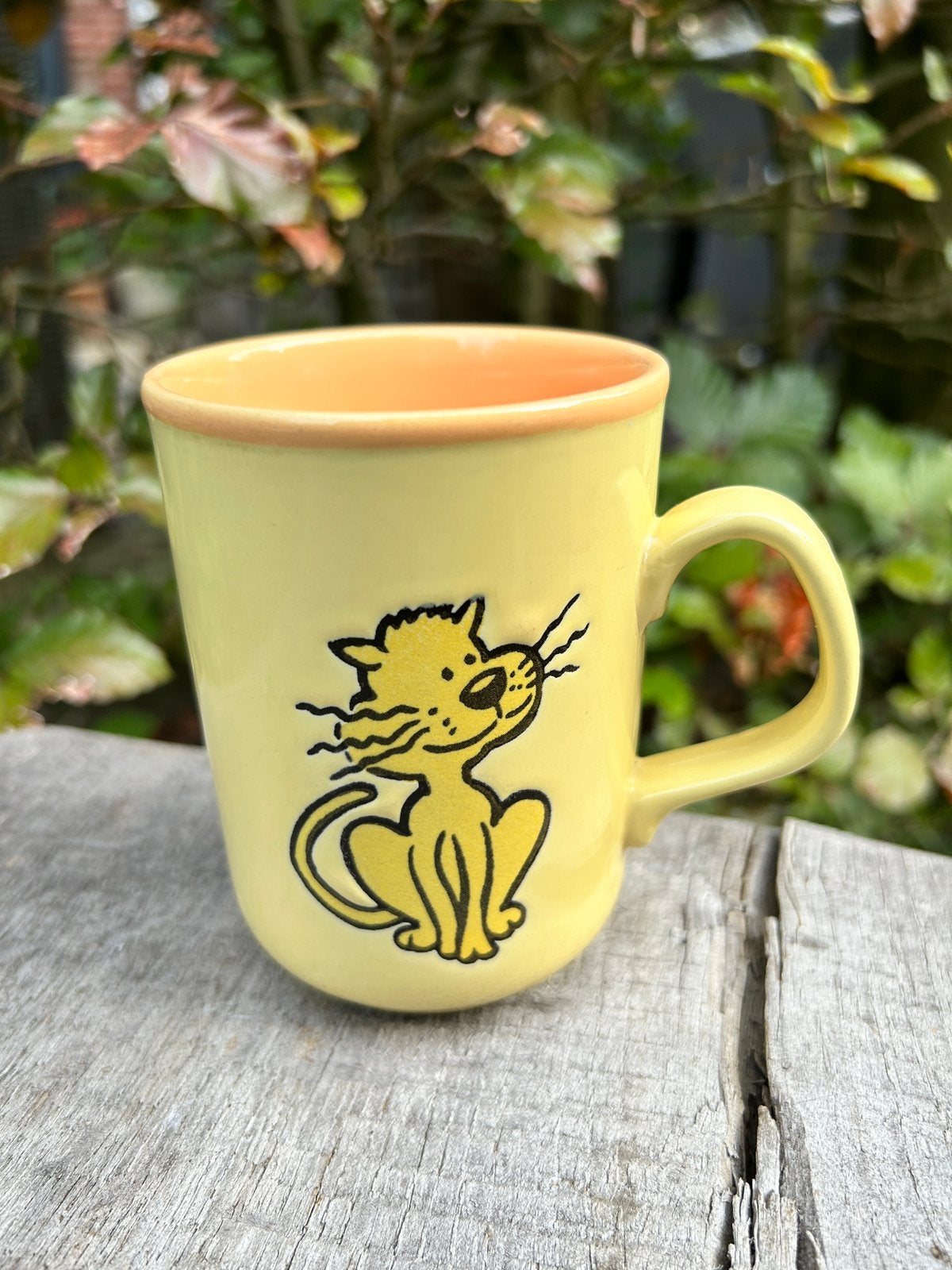 Mok ‘Cat’ Staffordshire, Ophalen of Verzenden, Zo goed als nieuw, Bord(en), Overige stijlen