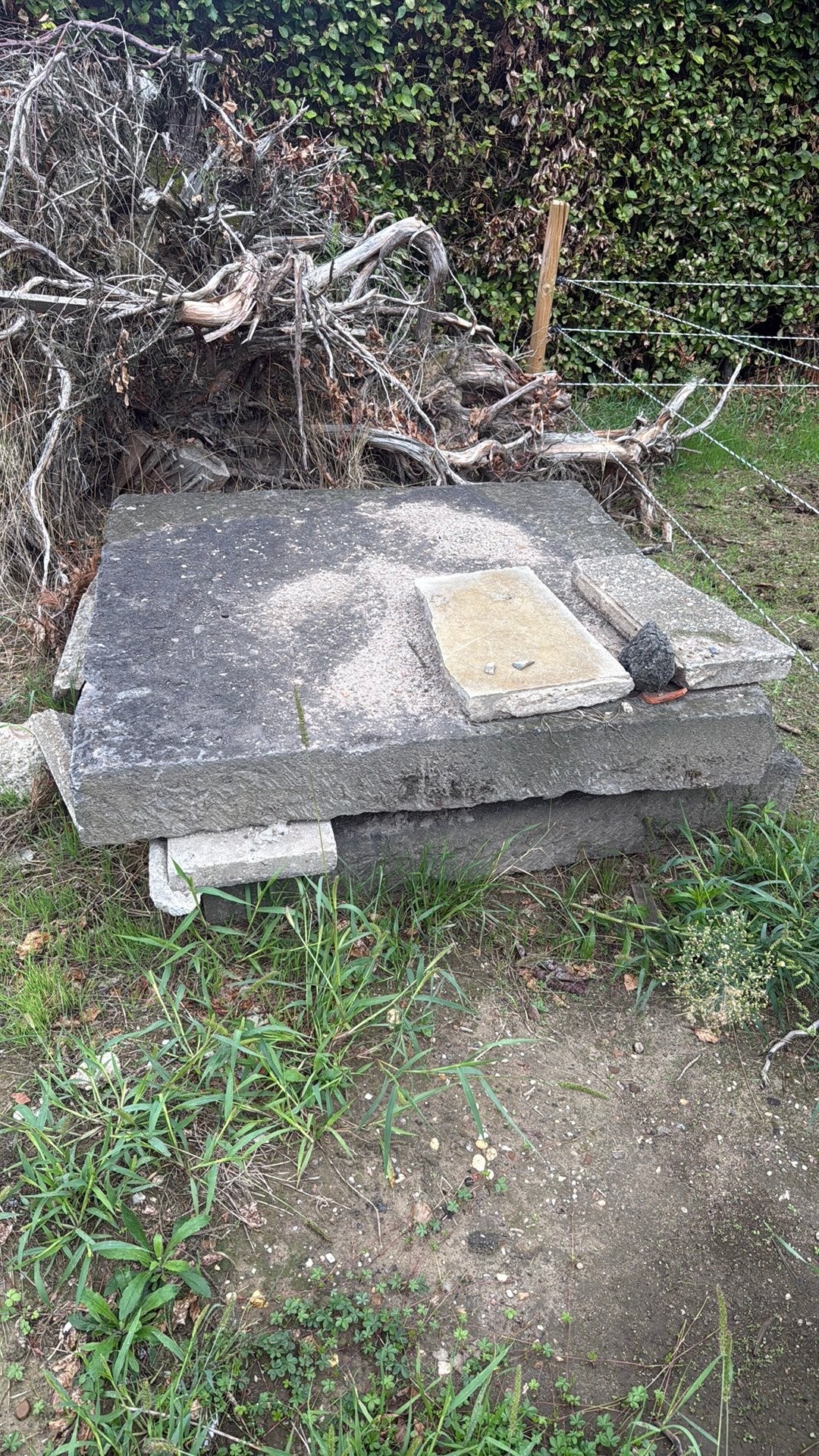 Gratis 2 beton platen, Tuin en Terras, Tegels en Klinkers, Ophalen of Verzenden, Zo goed als nieuw, Beton, Overige typen