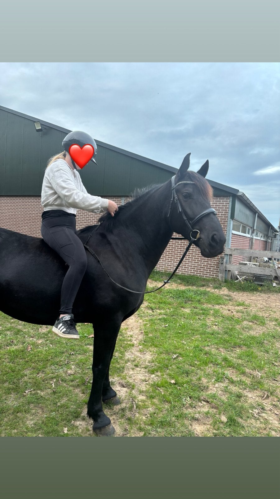 Te koop: 6-jarige eventingpony, Dieren en Toebehoren, Merrie, E pony (1.48m - 1.57m)