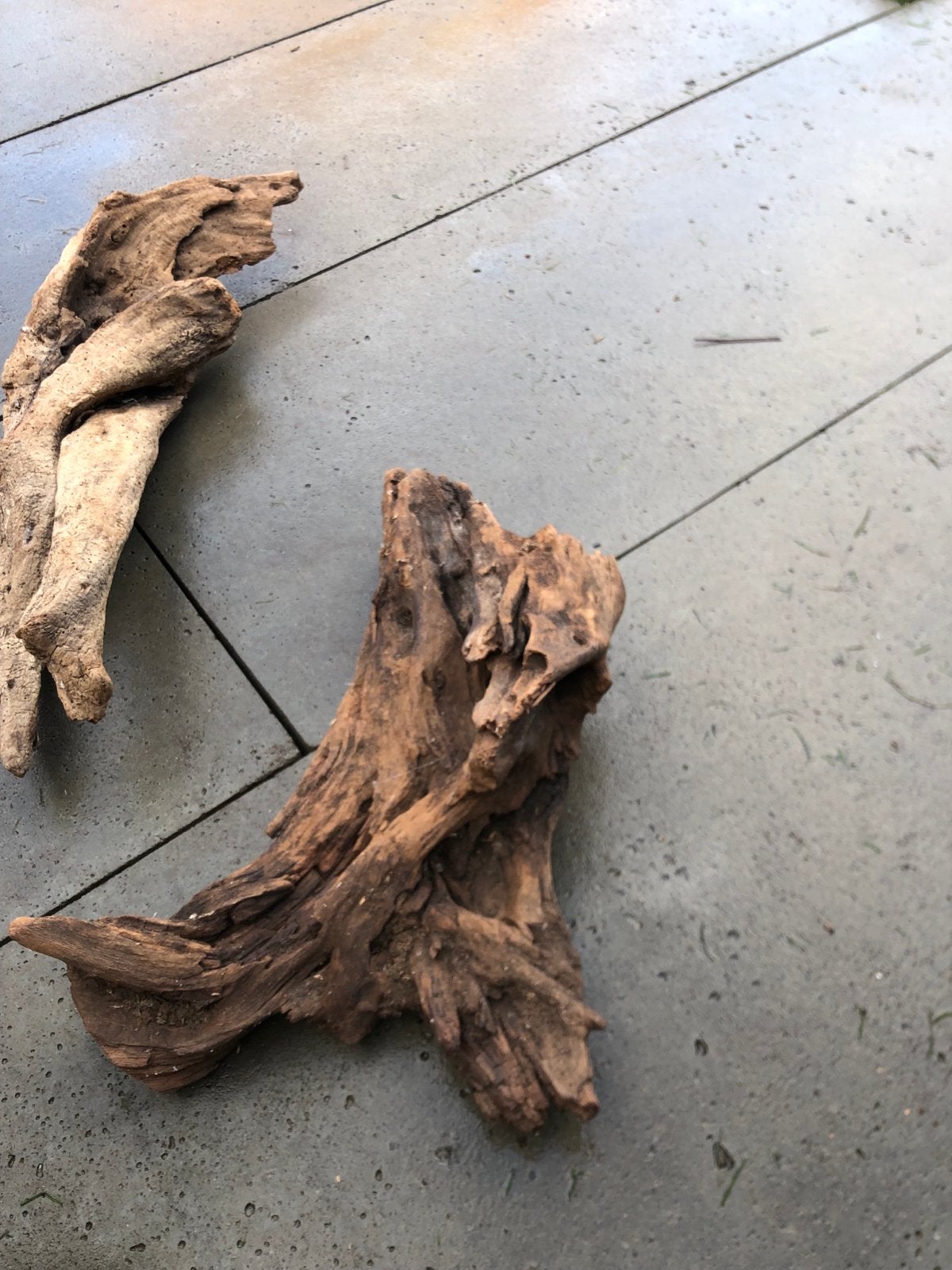 Mooie stukken hout, Dieren en Toebehoren, Ophalen