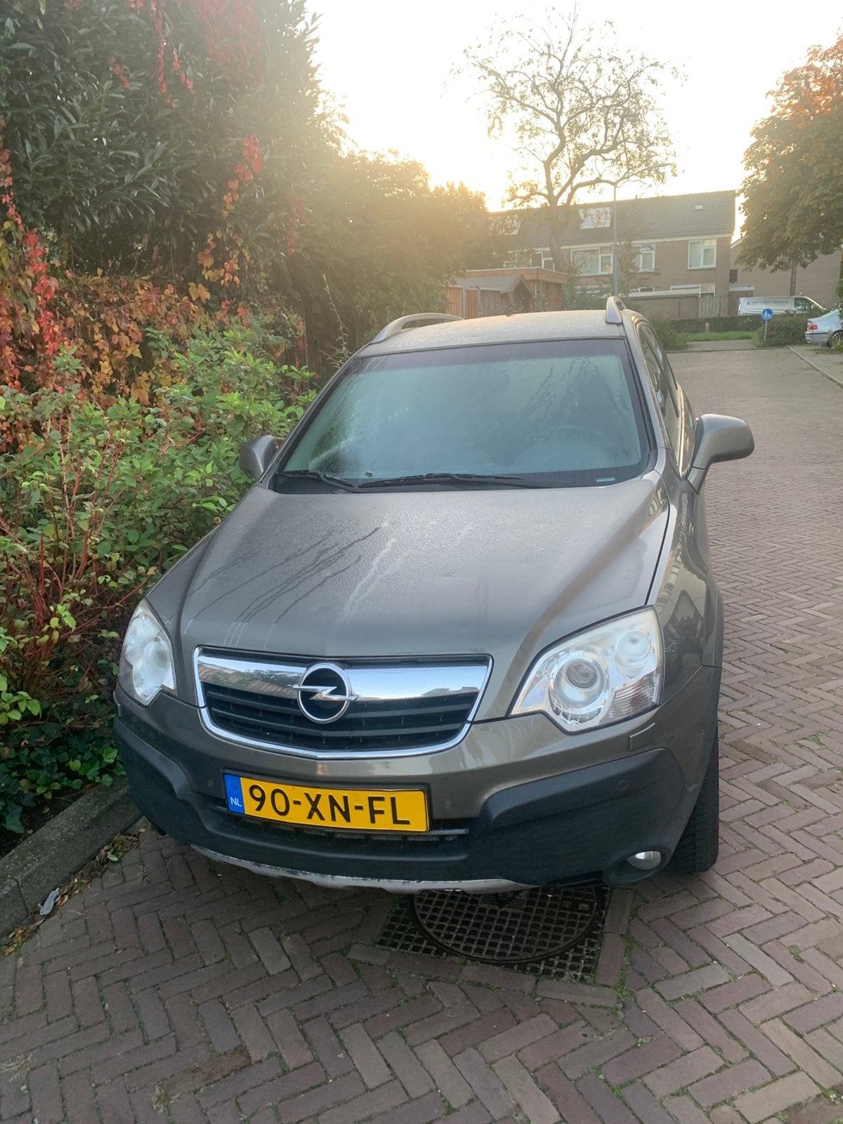 Opel Antara 3.2 24V AUT 2007 Beige, Automaat, 3195 cc, 227 pk, 2000 kg