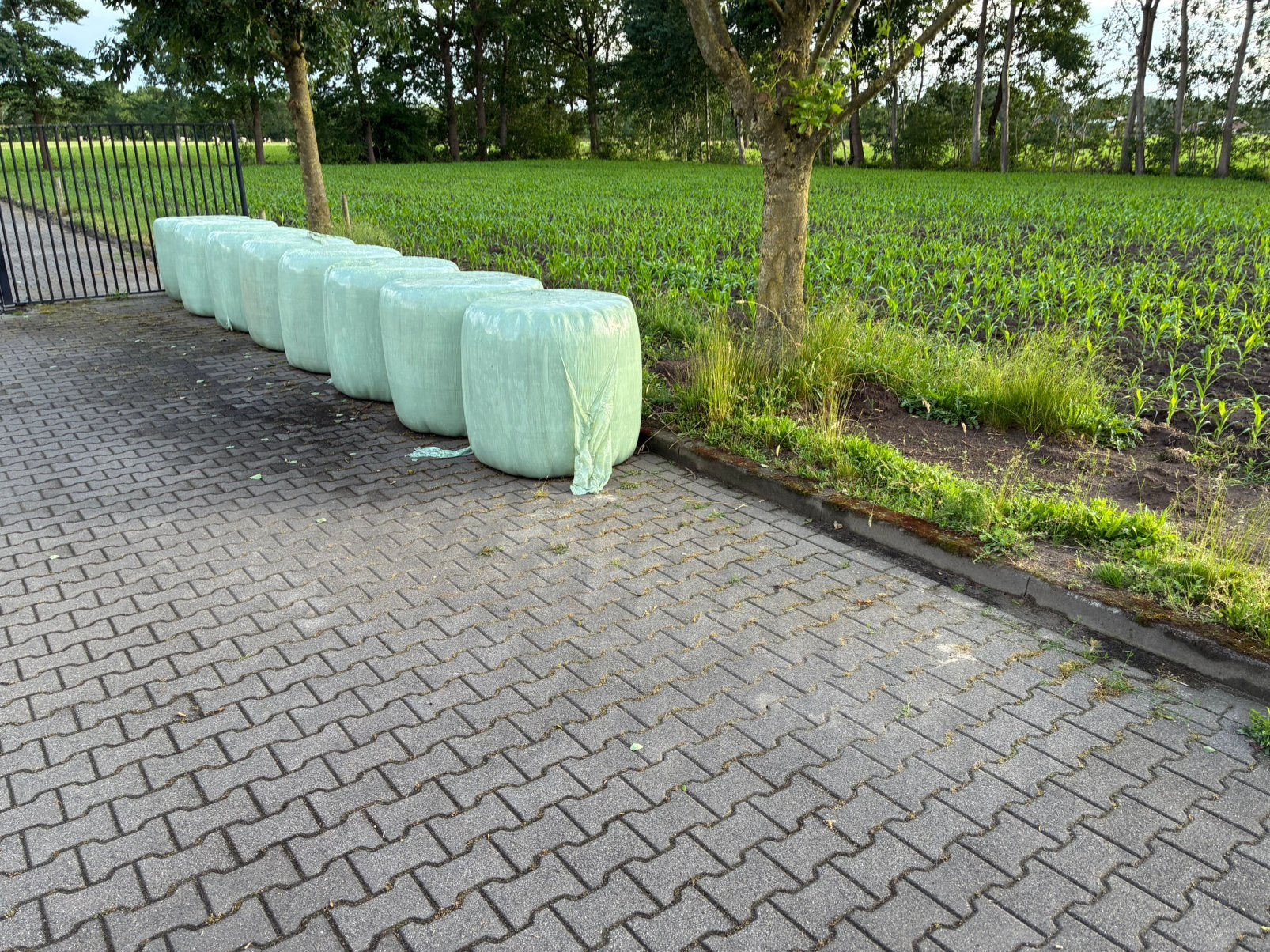Midi balen, Zakelijke goederen, Ophalen