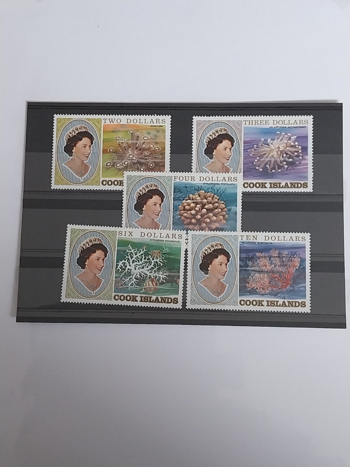Cook islands 763-767 koralen 1981 postfris mi 77 euro, Ophalen of Verzenden, Buitenland